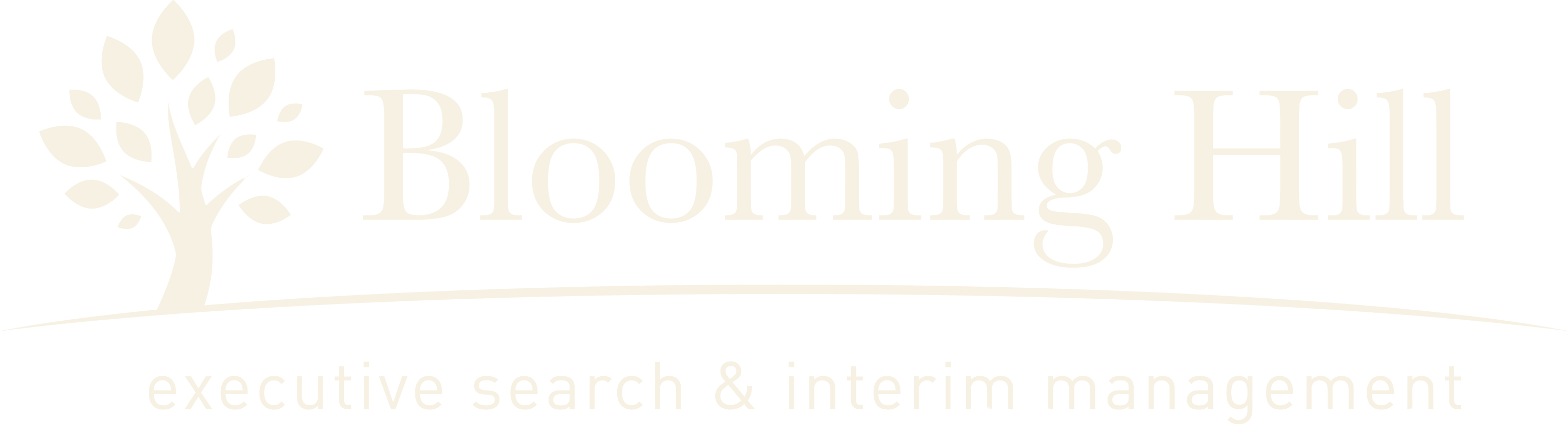 Blooming Hill — executive search & interim management