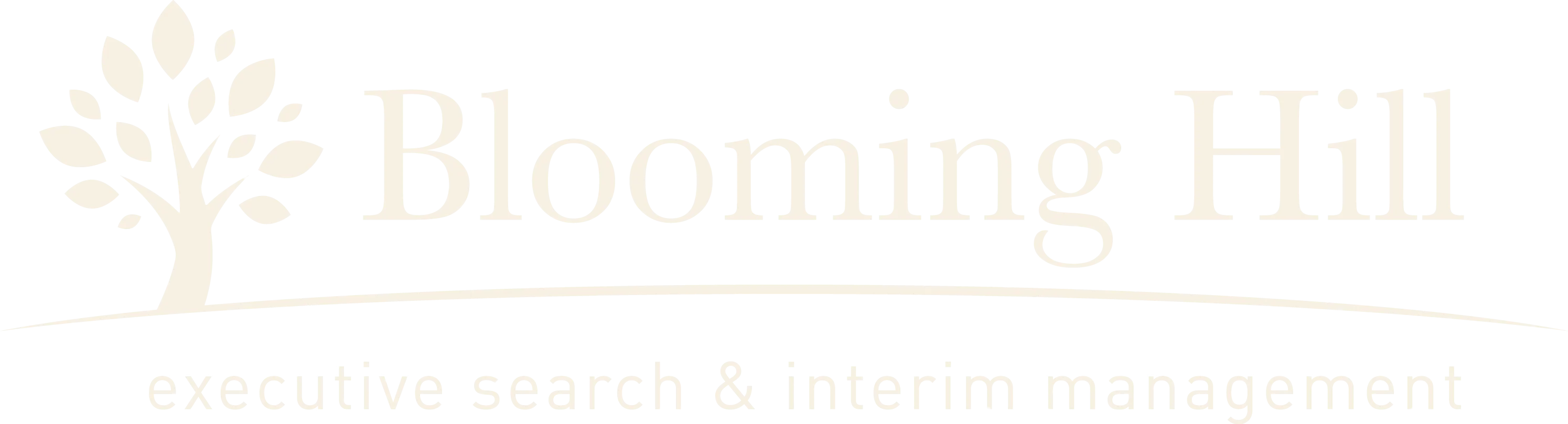 Blooming Hill — executive search & interim management